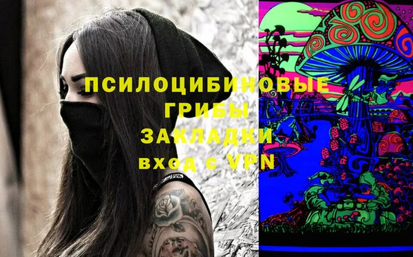 ГАЛЛЮЦИНОГЕННЫЕ ГРИБЫ Елизово